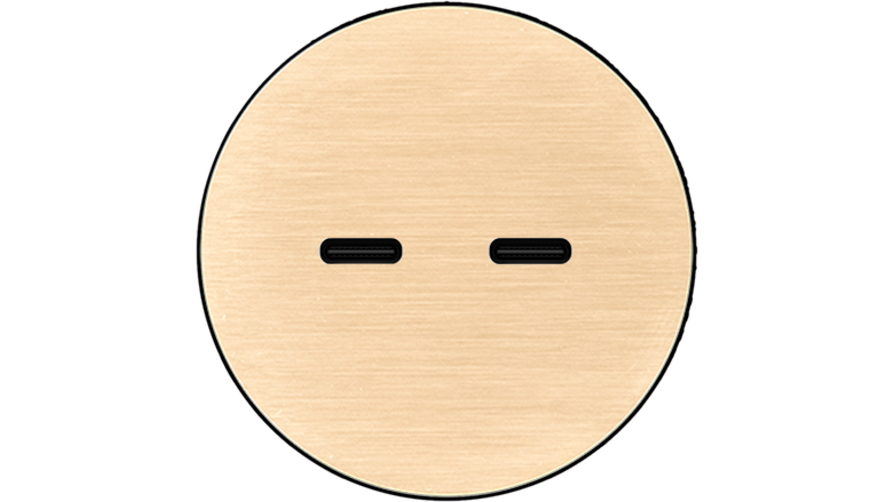 Rond 2.0 USB-C 2X (30W) - t.less - brushed brass