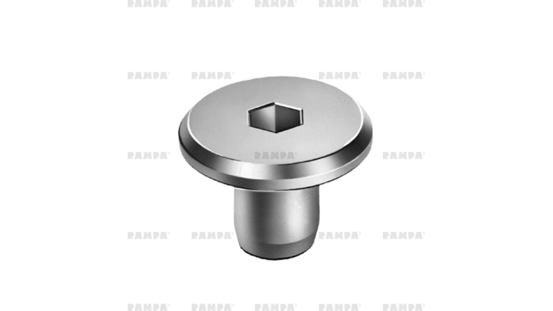 Busmoer M8x16mm platte kop kopdiameter 19mm