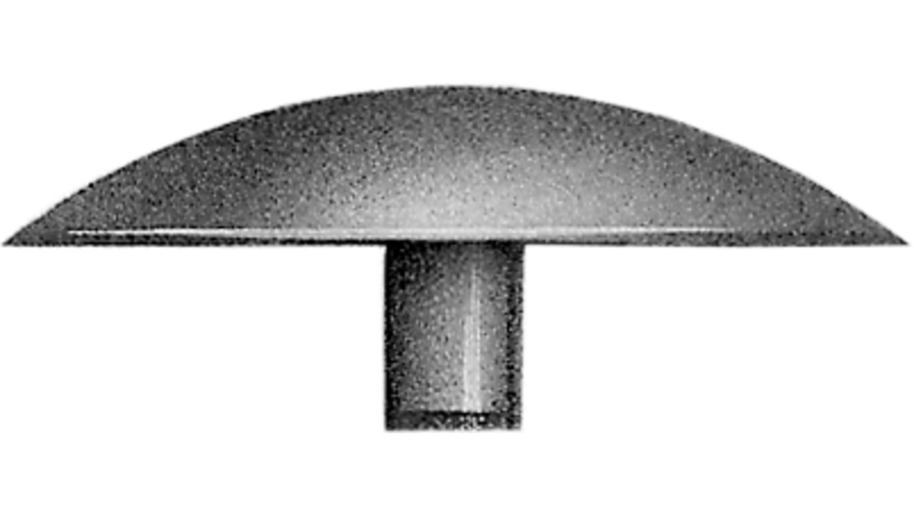Afdekkap wit voor geboorde Spax, stift 2.4mm, kop 12mm