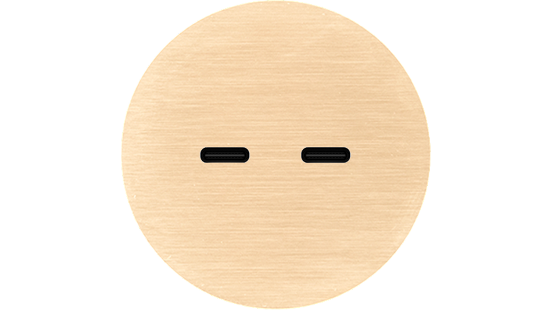 Rond 2.0 USB-C 2X (30W) - s. trim - brushed brass