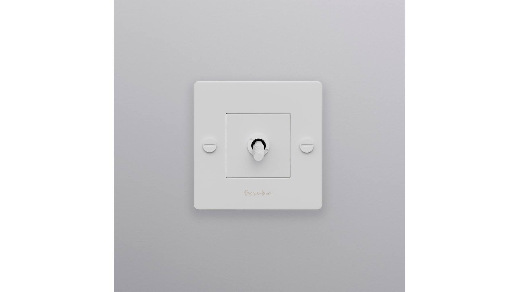 1G Toggle Switch/White