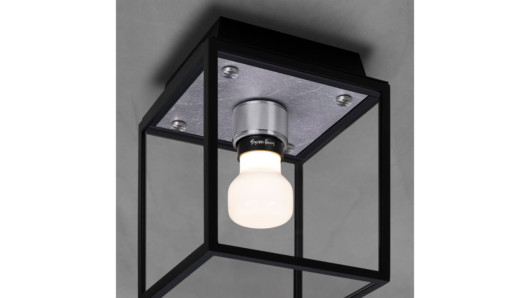 Caged Wet/Ceiling/Small/Steel