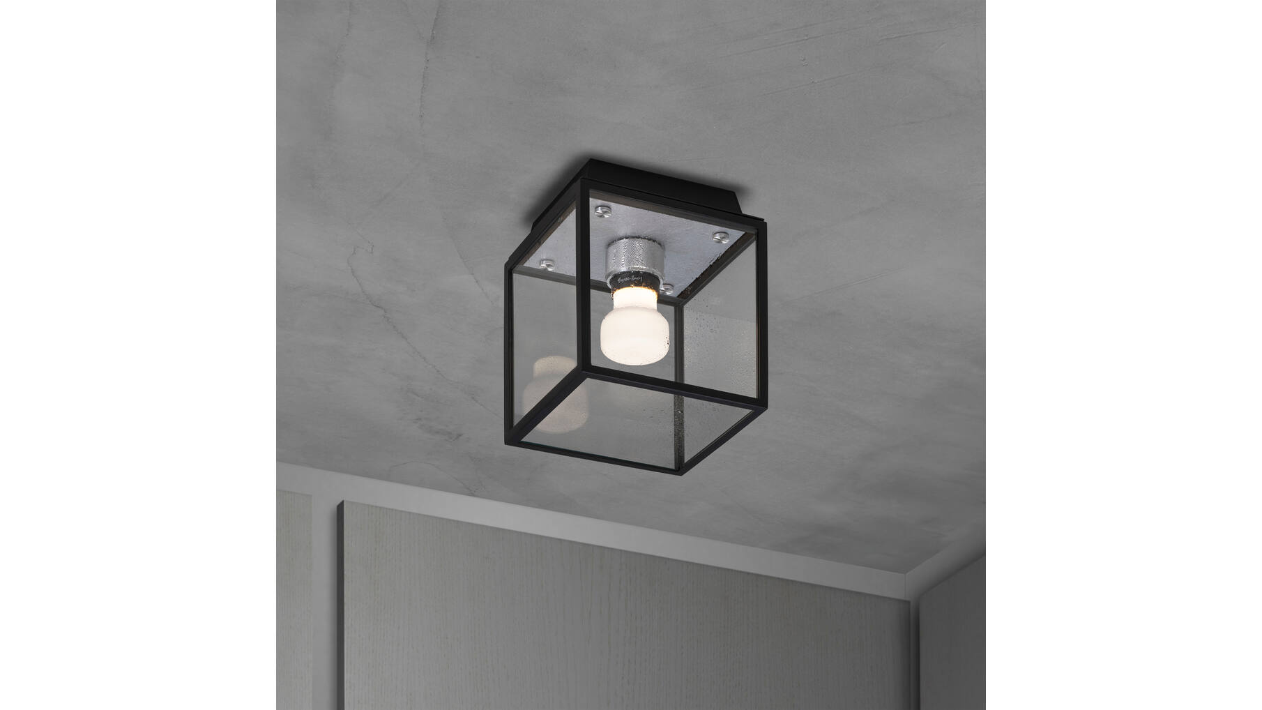 Caged Wet/Ceiling/Small/Steel