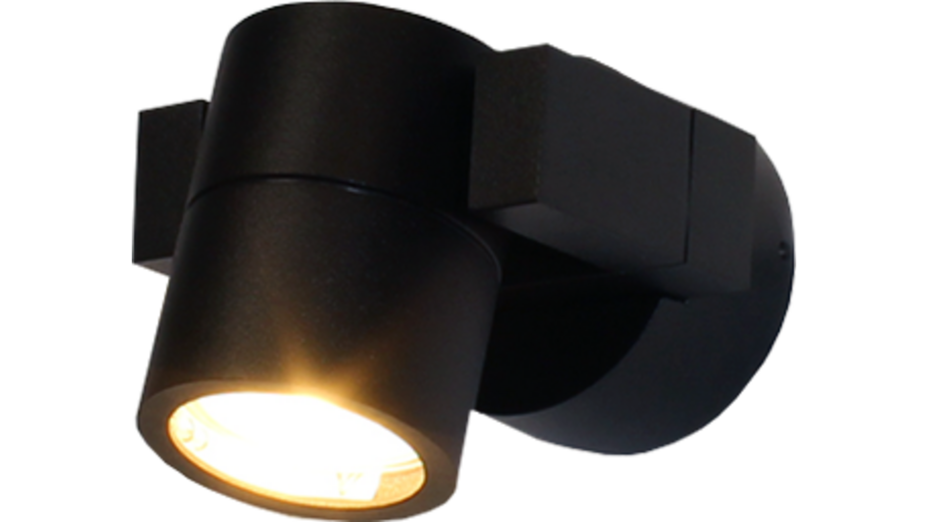 ronda Wandlamp zwart vertikaal kantelbaar, IP54