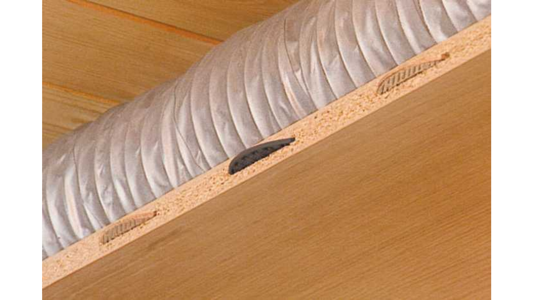 K20 hechtlamel in blister - 80 stuks