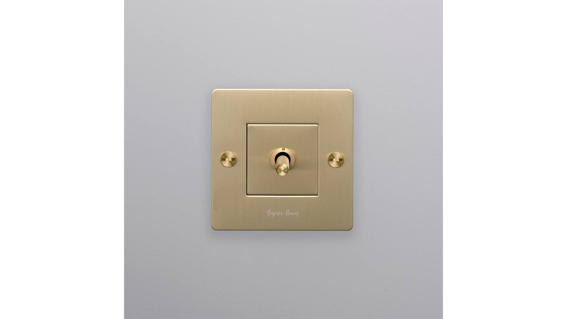 EU 1G Toggle Switch/w/ B+P Logo/Brass