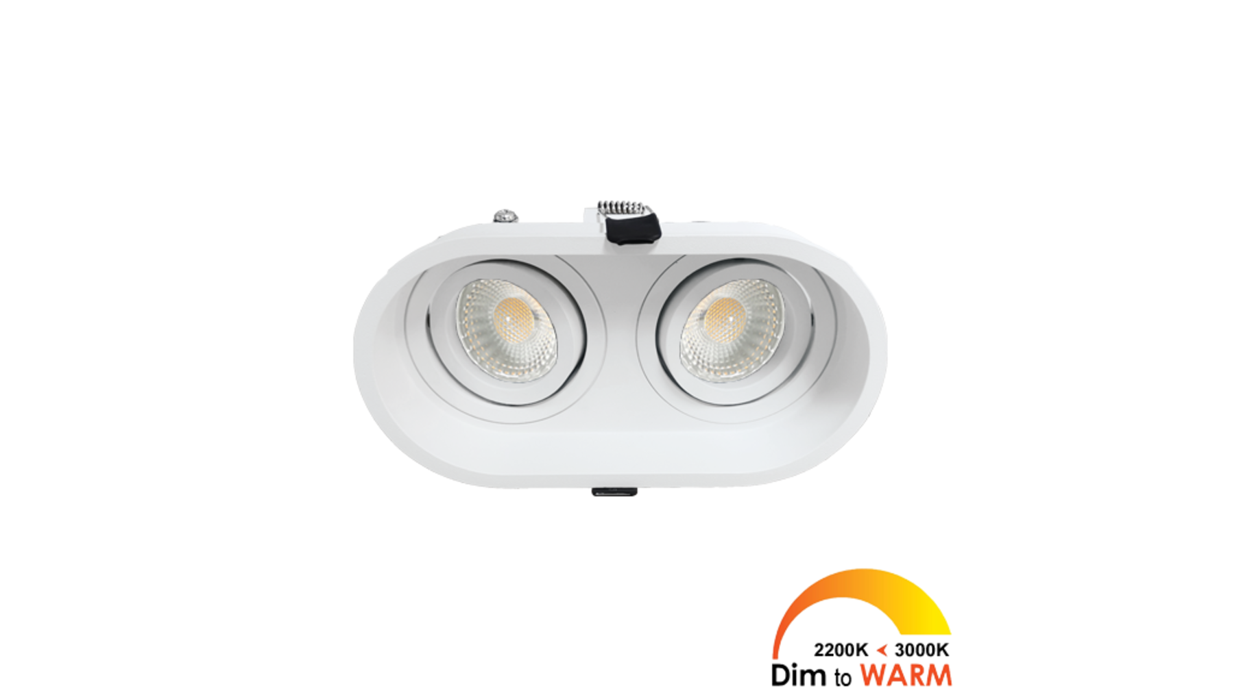 Palma Duo kantelbare inbouwspot rond wit DTW + Triac driver