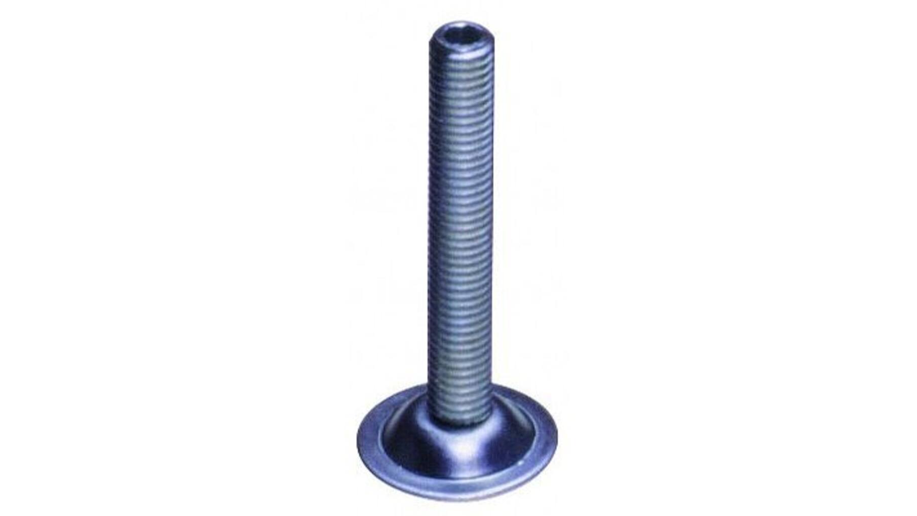 Stelschroef met binnenzeskant in de kop, hoogte 100mm