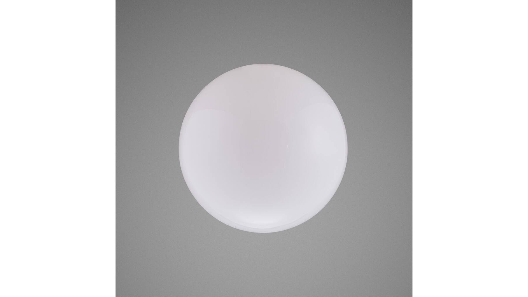 Forked Globe/Large 290Mm/Opal