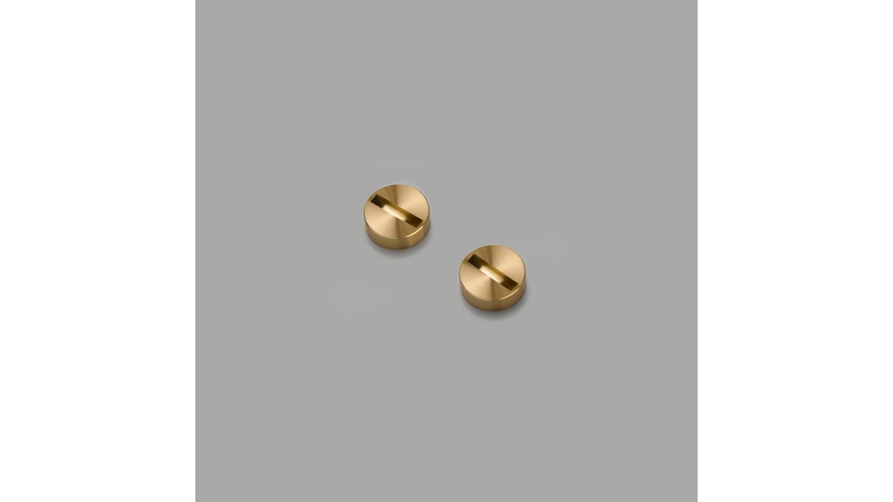 Plate Detail Kit/Coin Caps Only/Brass