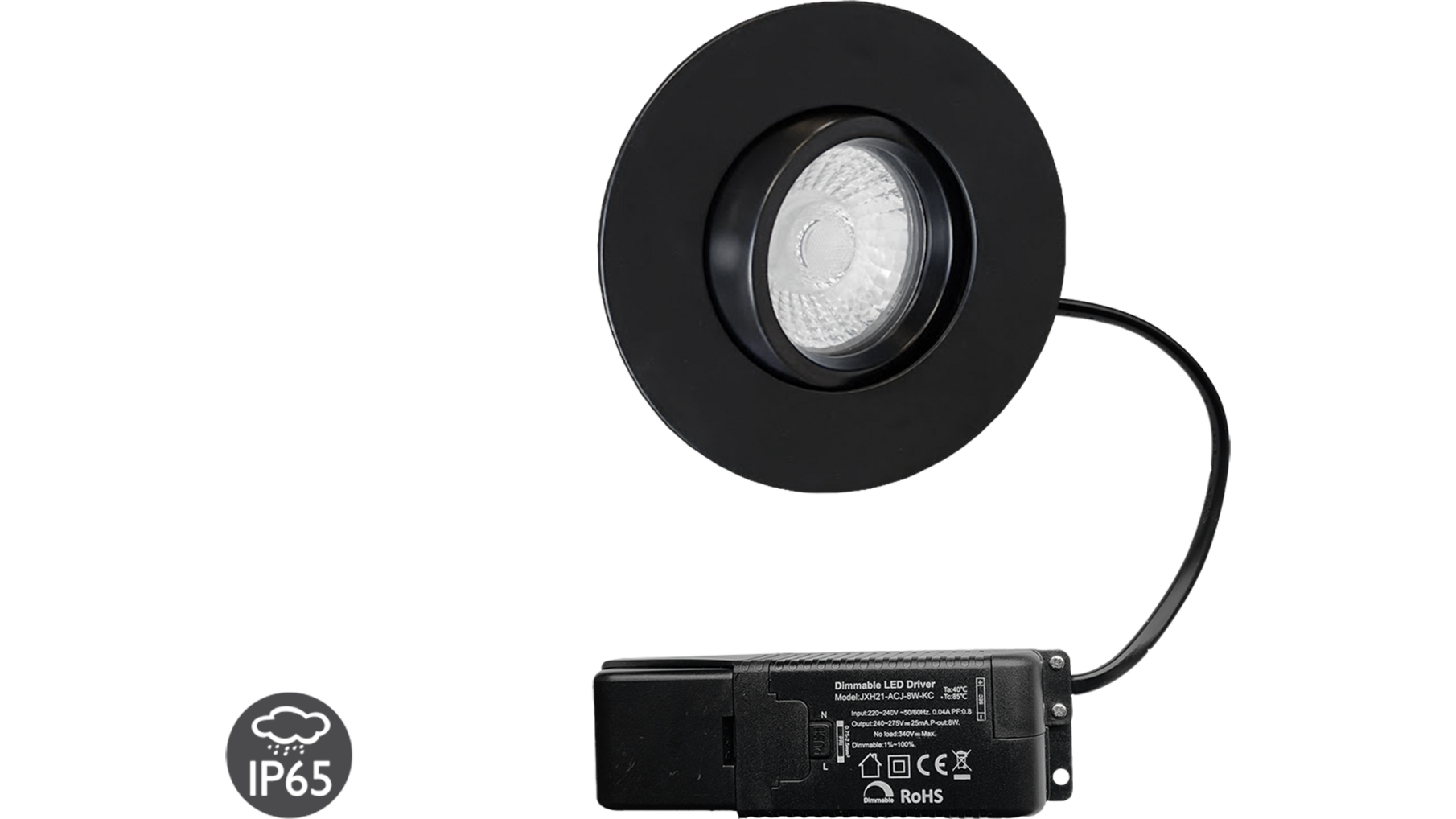 Lazio IP65 zwart kantelbare inbouwspot + Triac driver