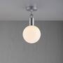 Forked Ceiling/Steel/Medium Opal Globe