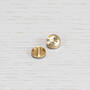 Spare Torx Cap/For Furniture Knob/Plate/Linear/Brass