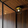 Caged Wet/Ceiling/Small/Brass