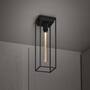 Caged Ceiling 1.0 Large - Sbm/Buster Bulb Tube