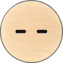 Rond 2.0 USB-C 2X (30W) - t.less - brushed brass
