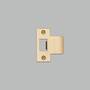Strike Plate Kit/T Shaped/2.5 Inch Door/Brass