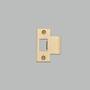 Strike Plate Kit/T Shaped/2 Inch Door/Brass