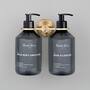 Soap Holder/Double Dispenser/No Soap Included/Cast/B