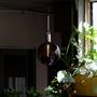 Forked Pendant/Brass/Large Smoked Globe