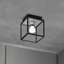 Caged Wet/Ceiling/Small/Steel