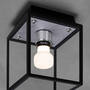 Caged Wet/Ceiling/Small/Steel