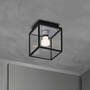 Caged Wet/Ceiling/Small/Steel
