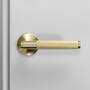 Fixed Door Handle/Single-Sided/Cross/Brass