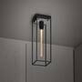 Caged Ceiling 1.0 Large - Pwm/Buster Bulb Tube