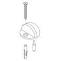 Deurstop bolrond rvs geborsteld