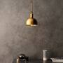 Forked Pendant/Brass/Medium Brass Shade