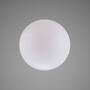 Forked Globe/Large 290Mm/Opal