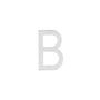 Huisletter B 100mm RVS geborsteld