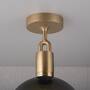 Forked Ceiling/Brass/Medium Smoked Globe