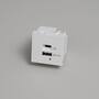 USB Module/USB A + C Quickcharge/45Mm/White