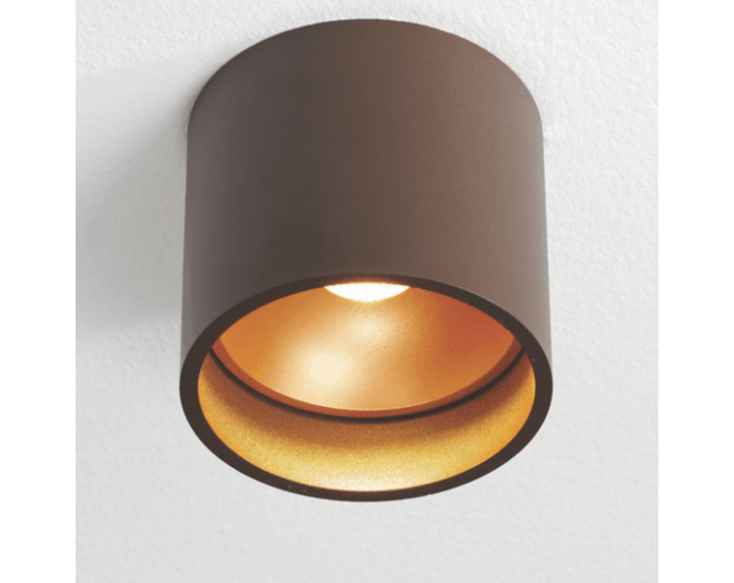 Plafondspot Santander rond opbouw BRUIN/GOUD dimbaar IP20