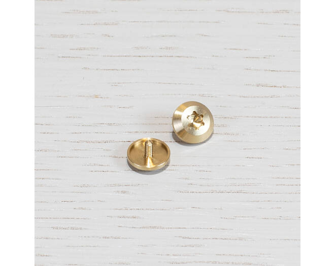 Spare Torx Cap/For Furniture Knob/Plate/Linear/Brass