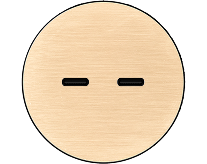 Rond 2.0 USB-C 2X (30W) - t.less - brushed brass