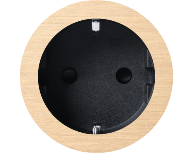 Rond 2.0 Socket F - s. trim - brushed brass - black cup