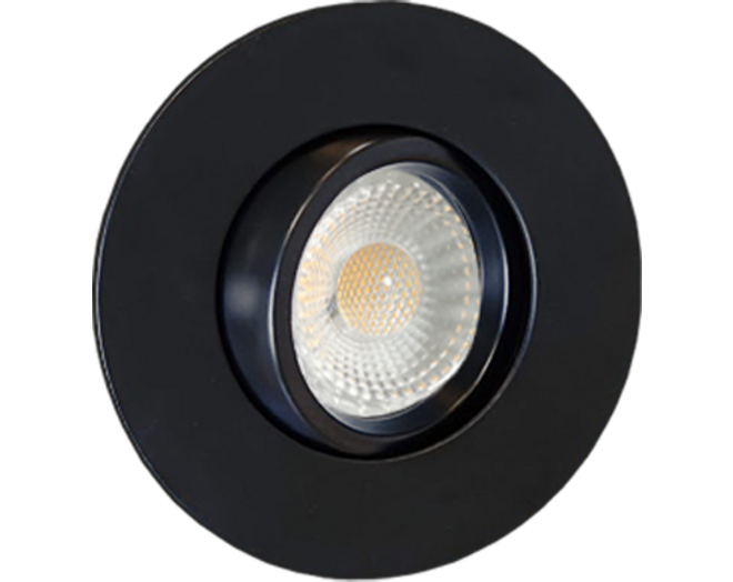 Lazio IP65 zwart kantelbare inbouwspot DTW + triac driver