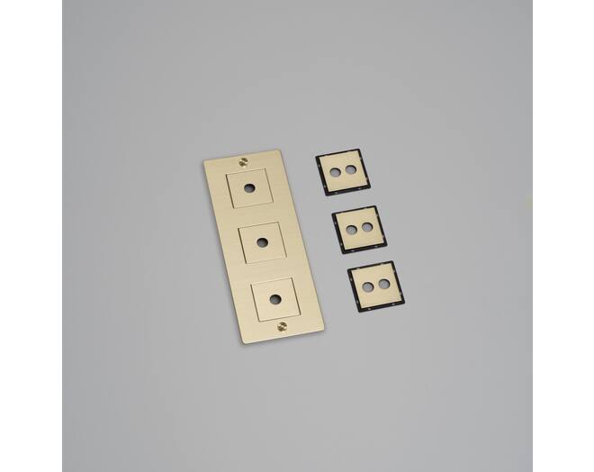 3G Wall Plate/Vertical/Brass