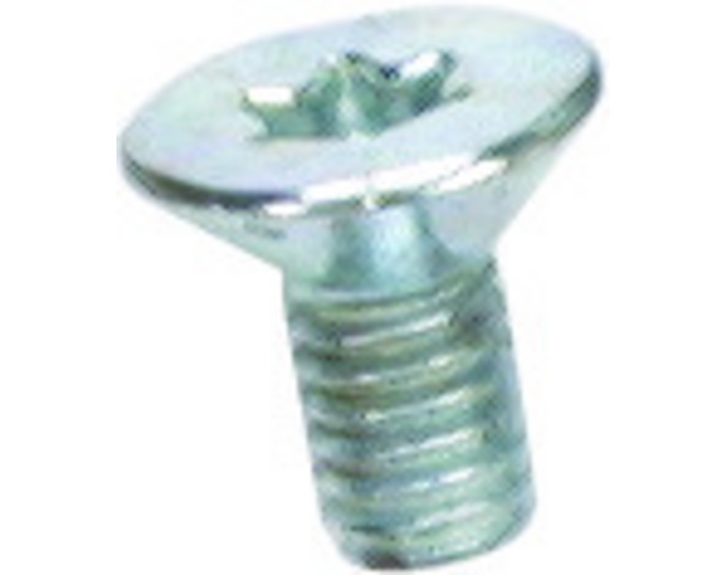 Vijs Torx m4/0,5x3,2 (voor frees 132130)