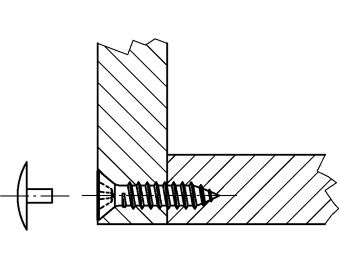 Afdekkap wit voor geboorde Spax, stift 2.4mm, kop 12mm