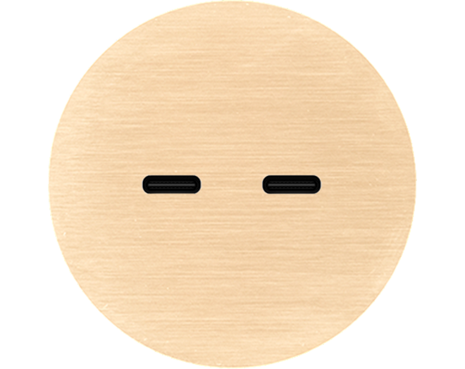 Rond 2.0 USB-C 2X (30W) - s. trim - brushed brass