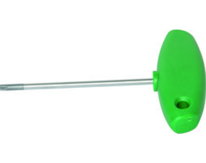 Schroevendraaier met kruisgrip Torx t20x100, groen