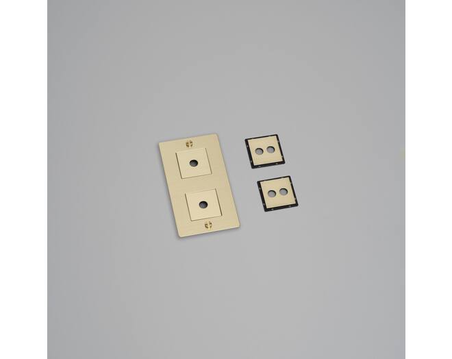 2G Wall Plate/Vertical/Brass