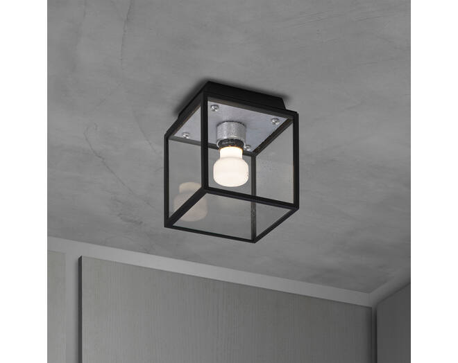 Caged Wet/Ceiling/Small/Steel