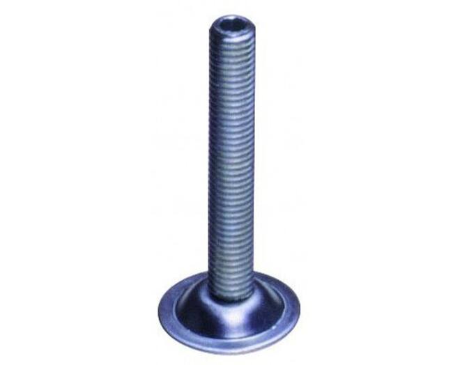 Stelschroef met binnenzeskant in de kop, hoogte 30mm