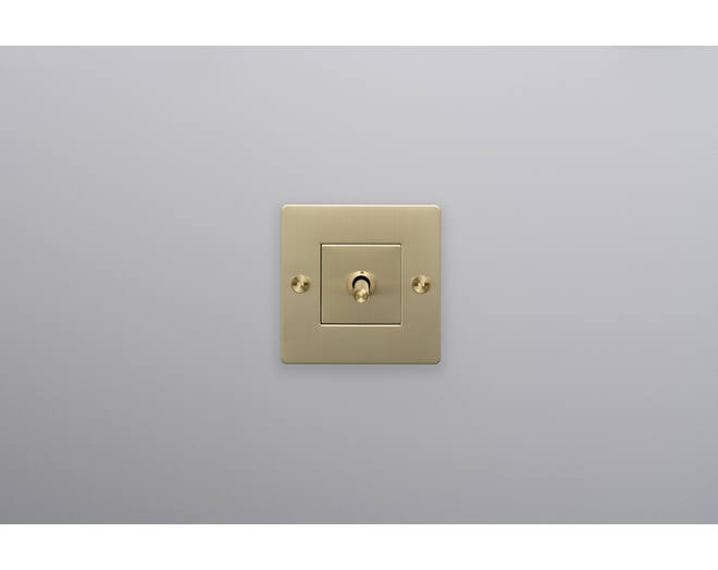 EU 1G Toggle Switch/w/out B+P Logo/Brass