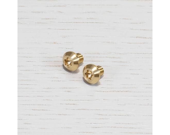 Xslpb-P05-01-Br Linear Pull Bar Torx Screw/Brass